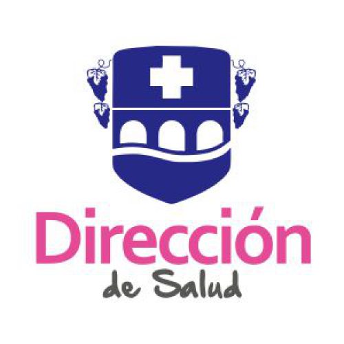Logo Direccion de Salud Buin