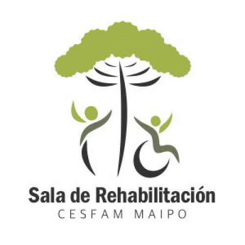 Logo RBC Maipo